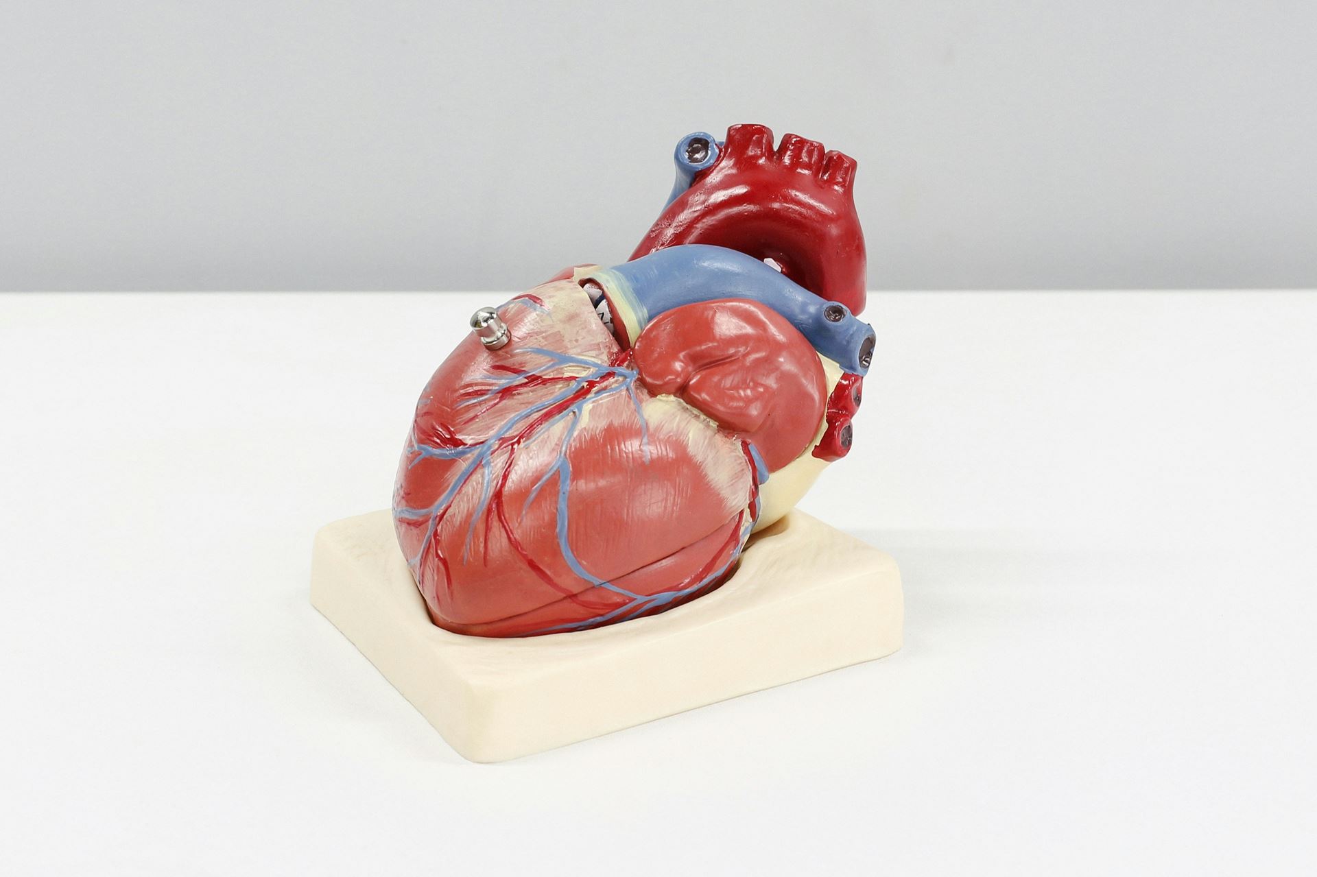 Heart Failure